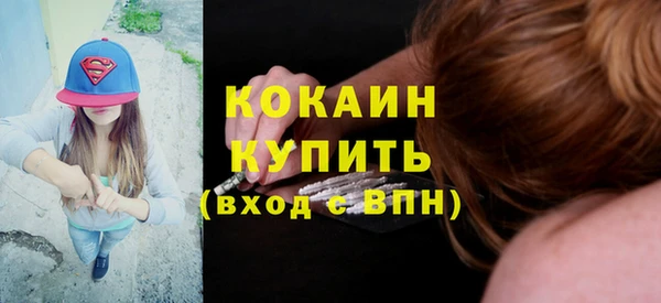 прущий лед Дмитриев