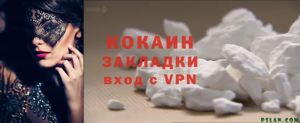 сатива Дмитровск