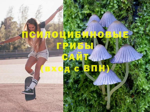 сатива Дмитровск