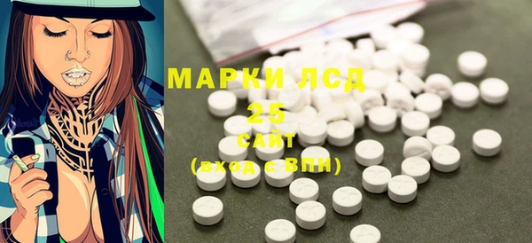 прущий лед Дмитриев