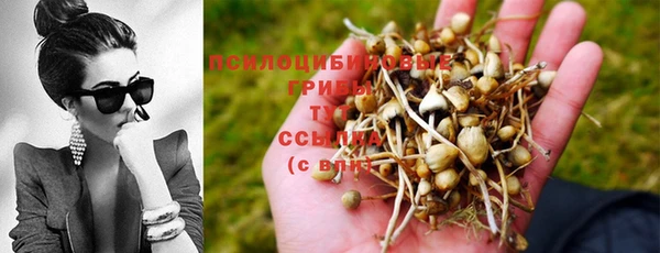 прущий лед Дмитриев