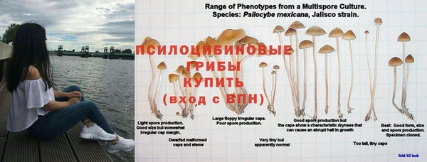 прущий лед Дмитриев