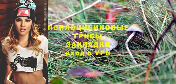 гашик Магас