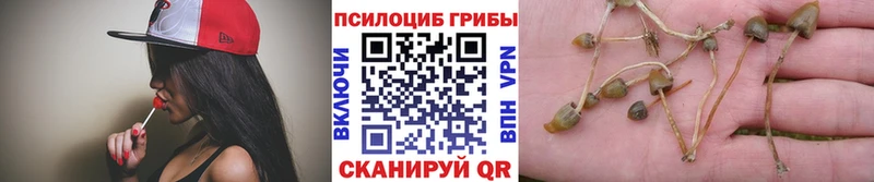 Галлюциногенные грибы мухоморы  купить наркоту  Жиздра 